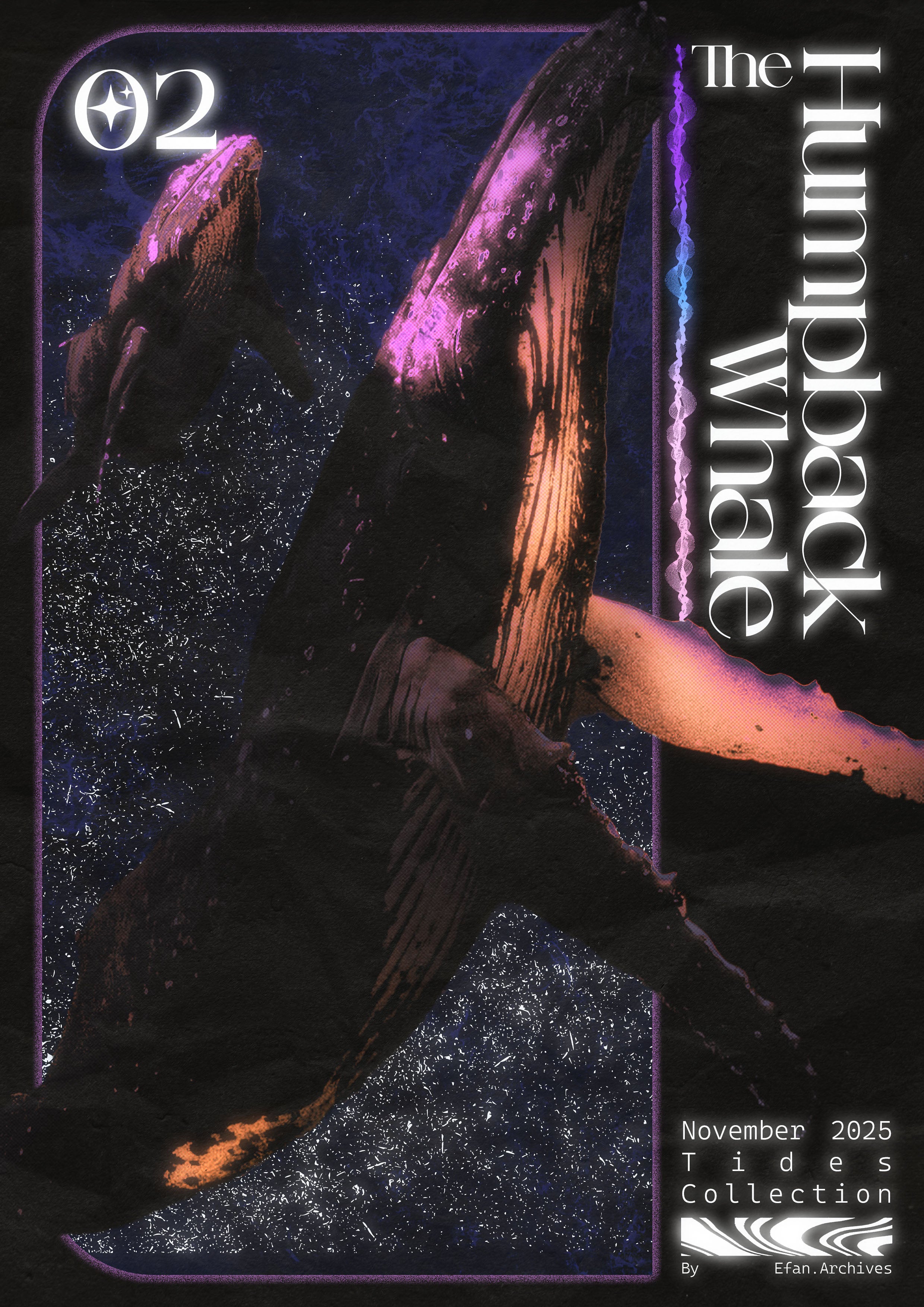 The Humpback Whale | Tides #02